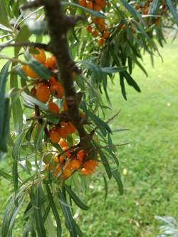 Der Herbst kommt und Wälder sind in voller Farbenpracht! | Kirami