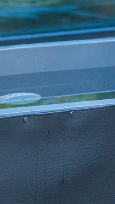 Kirami Comfort BlackIce