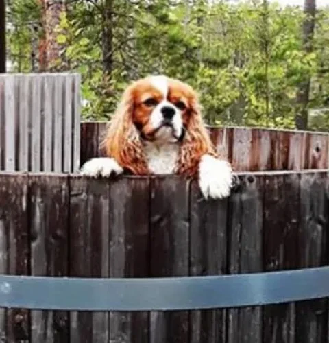 Recyceln Sie ein ausgedientes Badefass richtig |Kirami