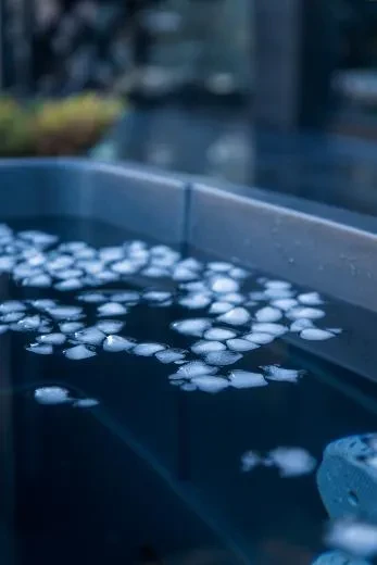 Comfort BlackIce S - BlackLeather, grau